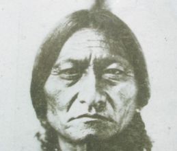 sitting bull