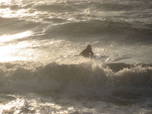 Goa coast