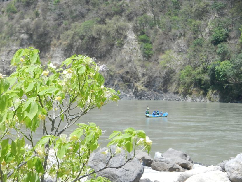 Rishikesh