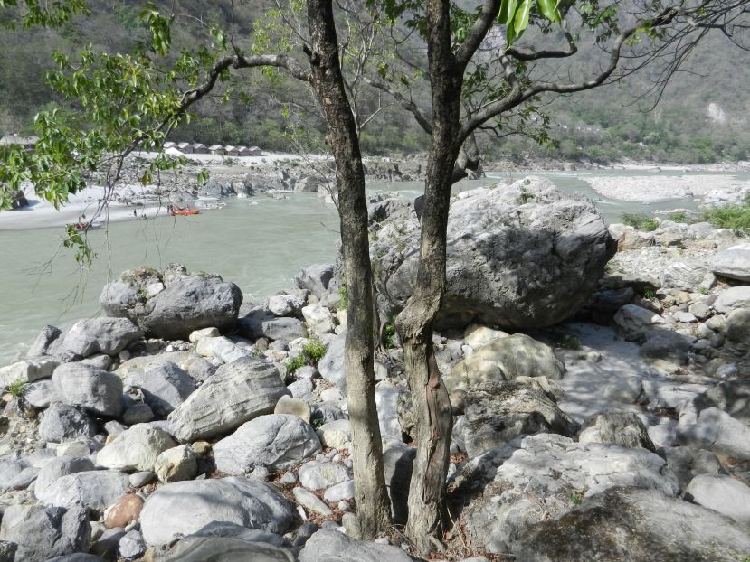 Rishikesh