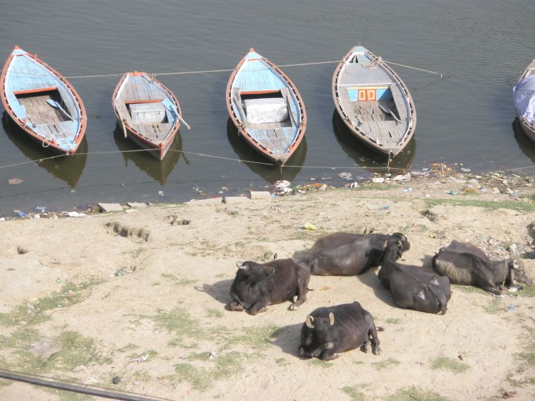 Varanasi Benares