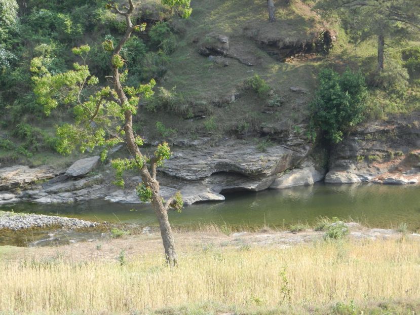Goa