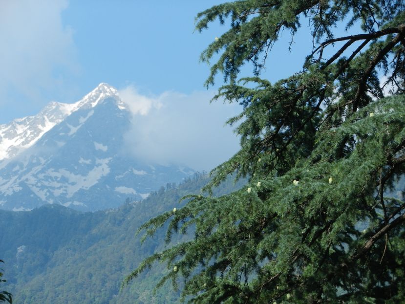 Dharamsala_HP