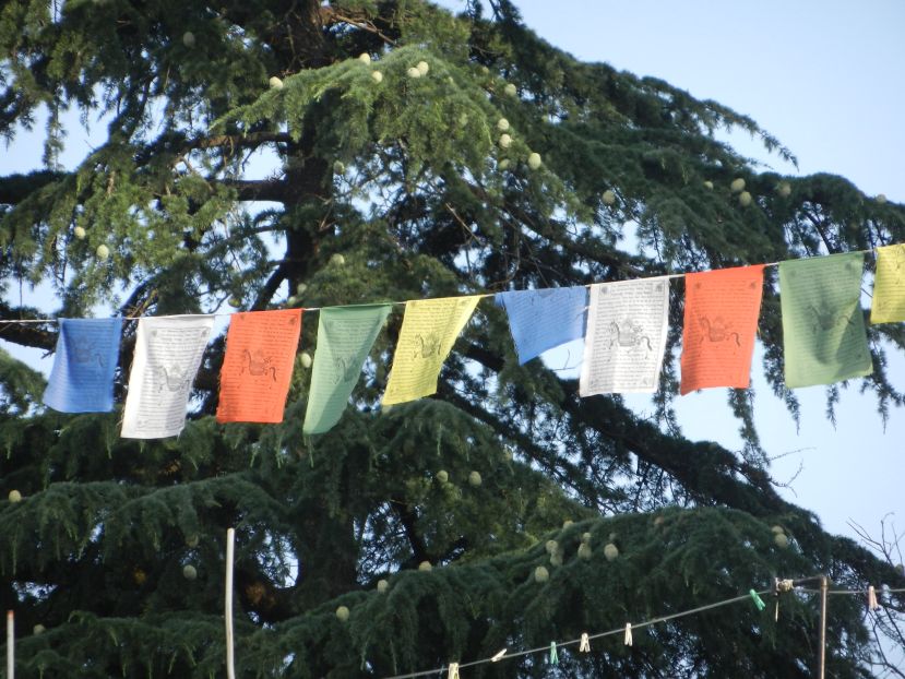 Dharamsala_HP