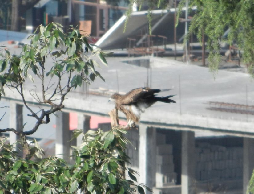 Dharamsala_HP