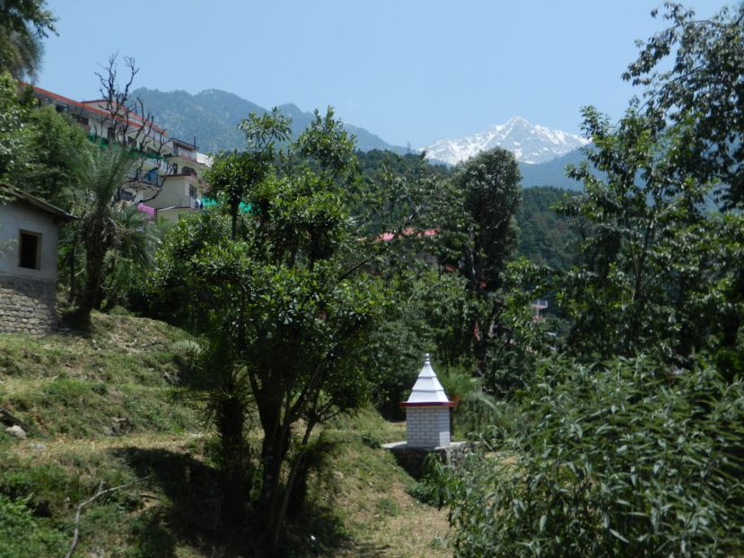 Dharamsala_HP