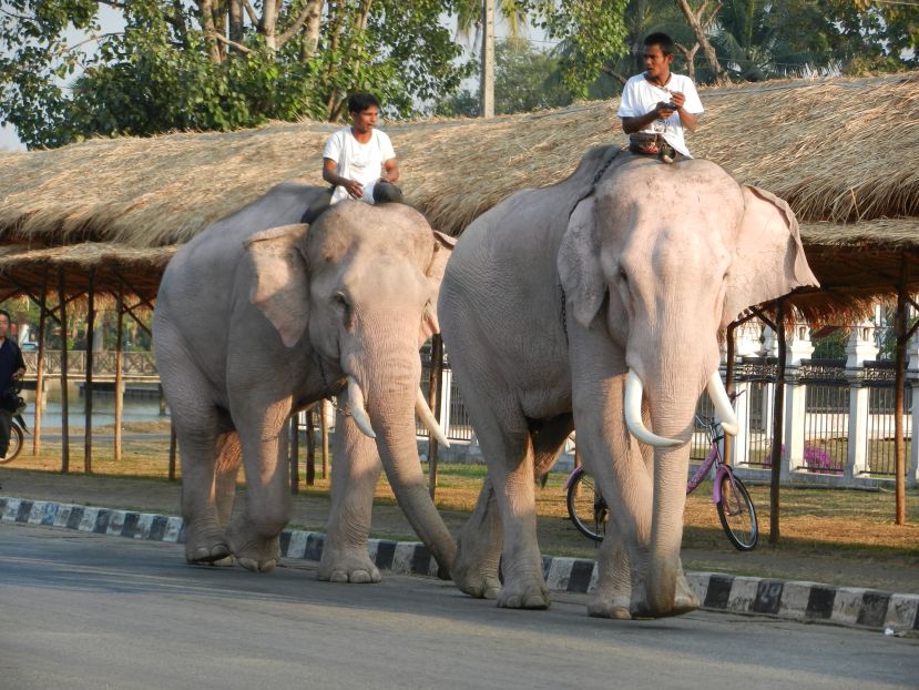 Thailand