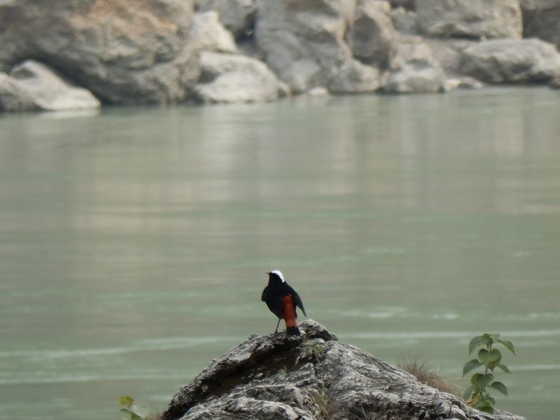 Kumaon