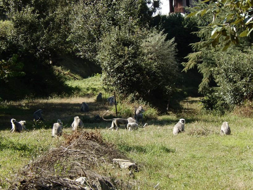 Kumaon